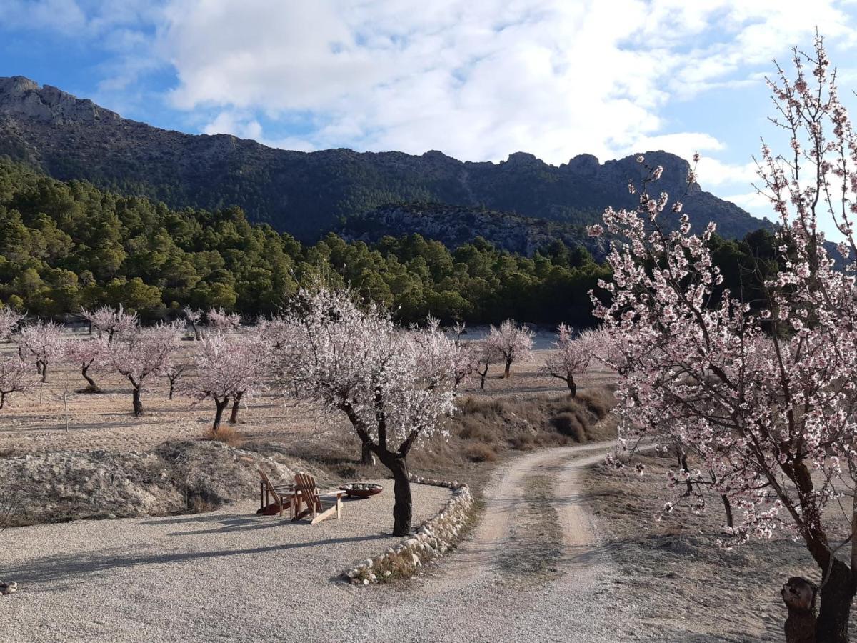 Апартаменти Cortijo Blanco Велес-Бланко Екстер'єр фото